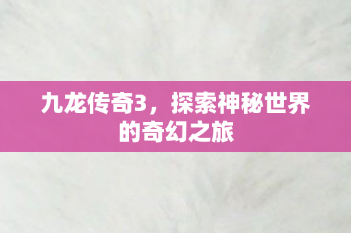九龙传奇3，探索神秘世界的奇幻之旅