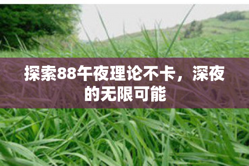 探索88午夜理论不卡,深夜的无限可能 探索88午夜理论不卡,深夜的无限可能