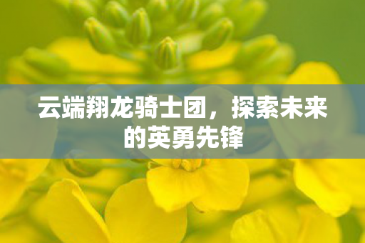 云端翔龙骑士团,探索未来的英勇先锋 云端翔龙骑士团,探索未来的英勇先锋