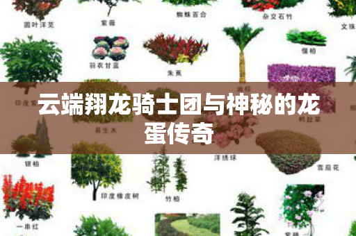 云端翔龙骑士团与神秘的龙蛋传奇