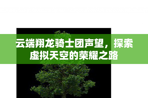 云端翔龙骑士团声望，探索虚拟天空的荣耀之路