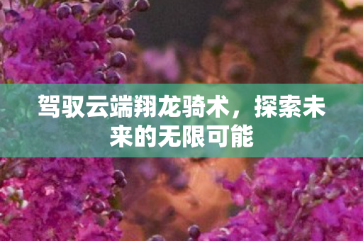 驾驭云端翔龙骑术，探索未来的无限可能