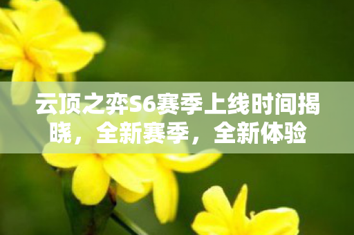 云顶之弈S6赛季上线时间揭晓，全新赛季，全新体验