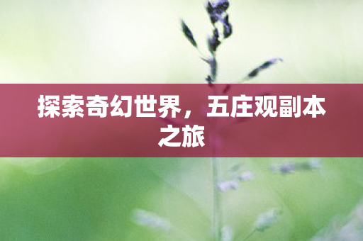探索奇幻世界，五庄观副本之旅