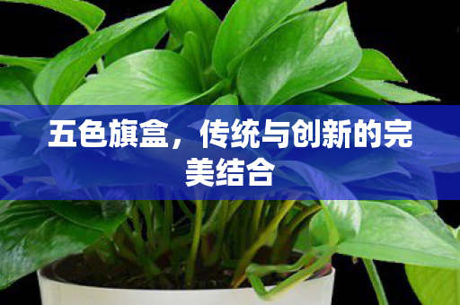 五色旗盒，传统与创新的完美结合