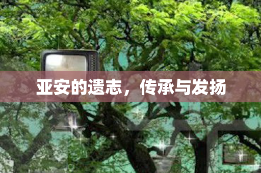 亚安的遗志，传承与发扬