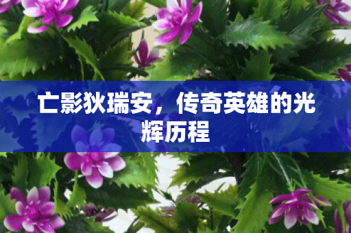 亡影狄瑞安，传奇英雄的光辉历程
