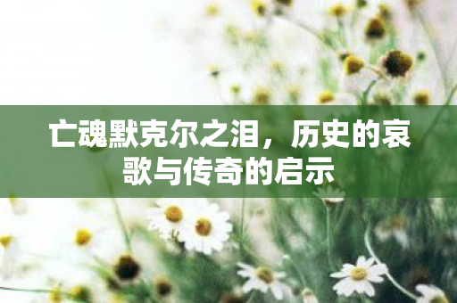 亡魂默克尔之泪，历史的哀歌与传奇的启示