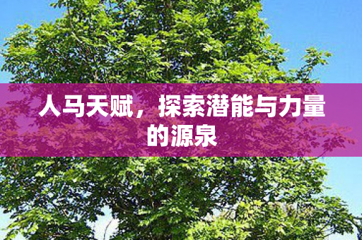 人马天赋，探索潜能与力量的源泉