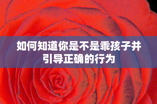 如何知道你是不是乖孩子并引导正确的行为