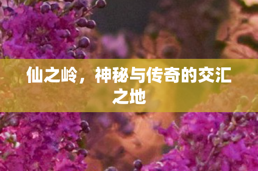 仙之岭，神秘与传奇的交汇之地
