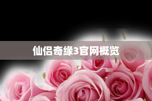 仙侣奇缘3官网概览
