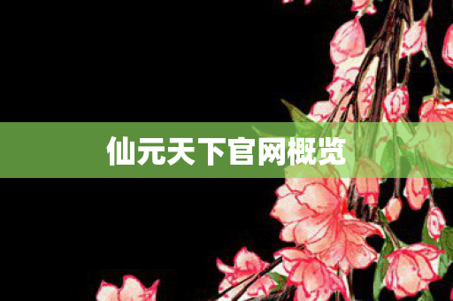 仙元天下官网概览