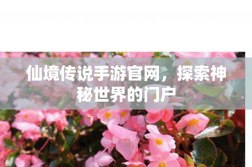 仙境传说手游官网，探索神秘世界的门户