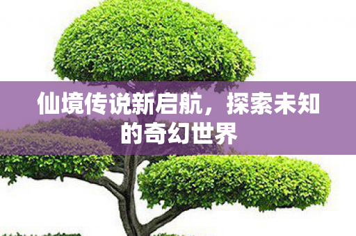 仙境传说新启航，探索未知的奇幻世界
