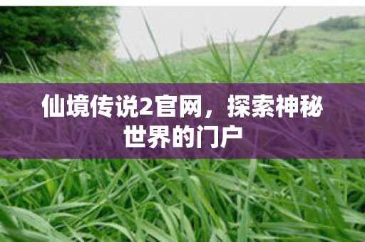 仙境传说2官网，探索神秘世界的门户