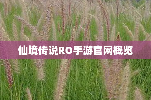 仙境传说RO手游官网概览