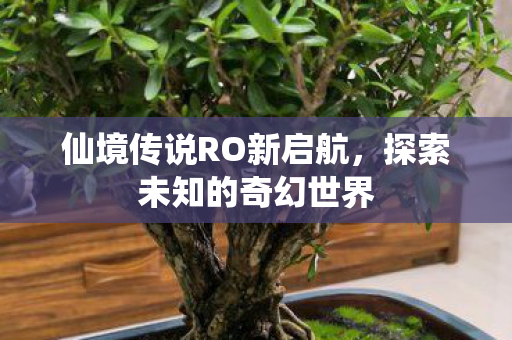 仙境传说RO新启航，探索未知的奇幻世界