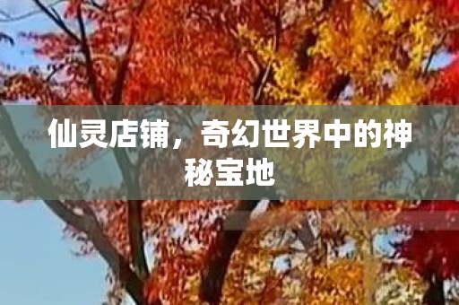 仙灵店铺，奇幻世界中的神秘宝地