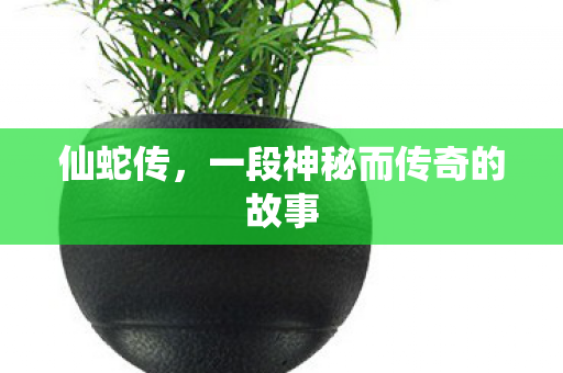 仙蛇传，一段神秘而传奇的故事