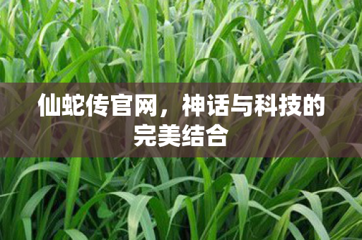 仙蛇传官网,神话与科技的完美结合 仙蛇传官网,神话与科技的完美结合