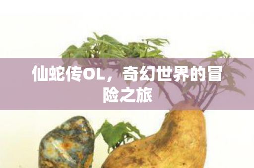 仙蛇传OL,奇幻世界的冒险之旅 仙蛇传OL,奇幻世界的冒险之旅