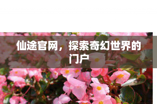 仙途官网，探索奇幻世界的门户