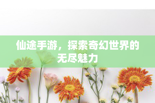 仙途手游，探索奇幻世界的无尽魅力