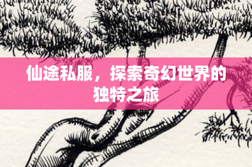 仙途私服，探索奇幻世界的独特之旅