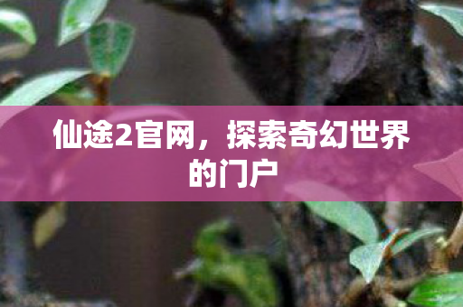 仙途2官网，探索奇幻世界的门户
