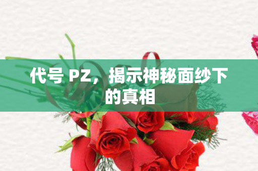 代号 PZ,揭示神秘面纱下的真相 代号 PZ,揭示神秘面纱下的真相