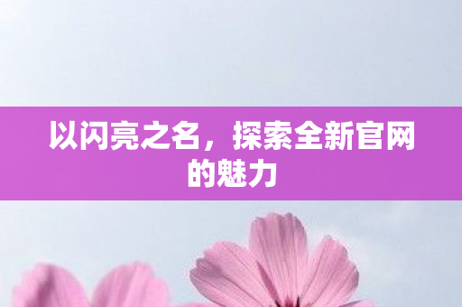 以闪亮之名,探索全新官网的魅力 以闪亮之名,探索全新官网的魅力