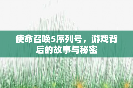 使命召唤5序列号，游戏背后的故事与秘密