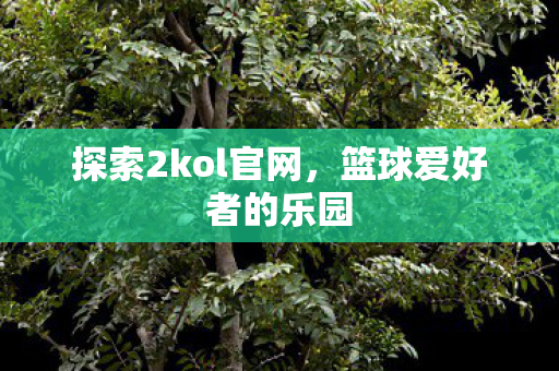 探索2kol官网，篮球爱好者的乐园