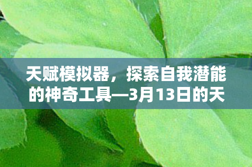 天赋模拟器，探索自我潜能的神奇工具—3月13日的天赋探索之旅