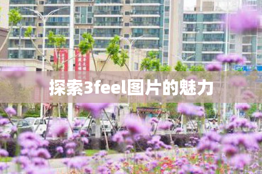 探索3feel图片的魅力