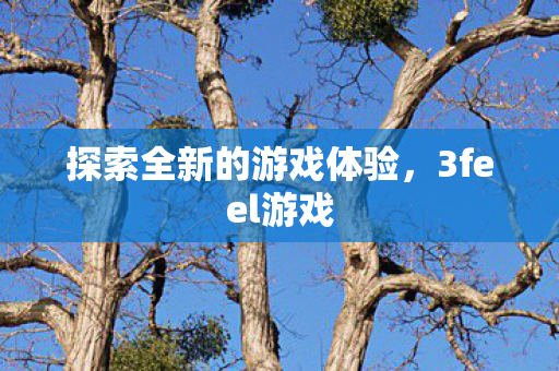 探索全新的游戏体验,3feel游戏 探索全新的游戏体验,3feel游戏