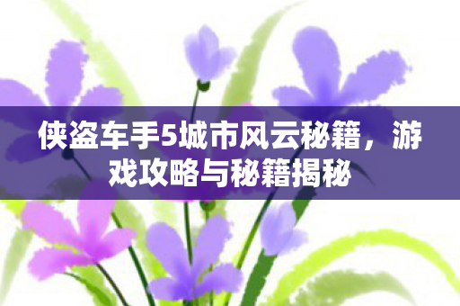 侠盗车手5城市风云秘籍，游戏攻略与秘籍揭秘