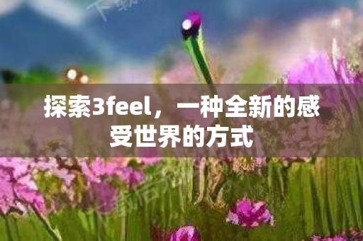 探索3feel，一种全新的感受世界的方式