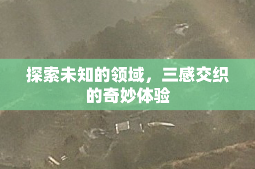 探索未知的领域，三感交织的奇妙体验