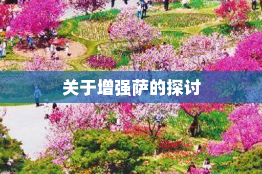 关于增强萨的探讨