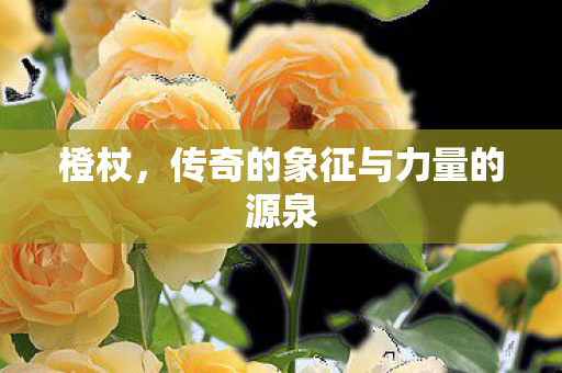 橙杖，传奇的象征与力量的源泉