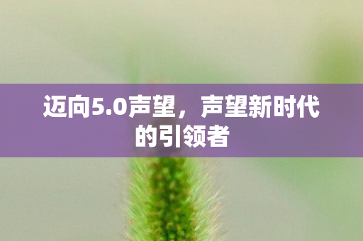 迈向5.0声望，声望新时代的引领者