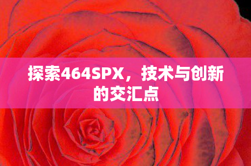 探索464SPX，技术与创新的交汇点