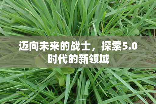 迈向未来的战士，探索5.0时代的新领域