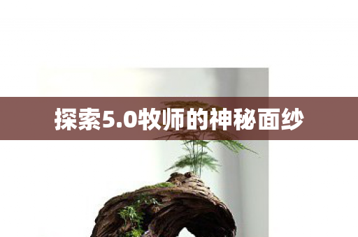 探索5.0牧师的神秘面纱 探索5.0牧师的神秘面纱