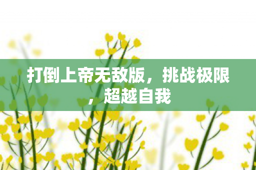 打倒上帝无敌版,挑战极限,超越自我 打倒上帝无敌版,挑战极限,超越自我