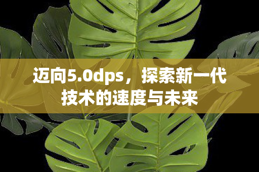 迈向5.0dps，探索新一代技术的速度与未来