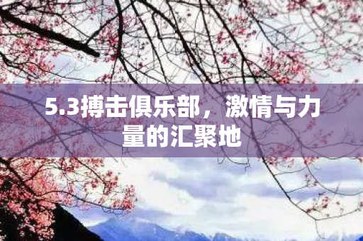 5.3搏击俱乐部，激情与力量的汇聚地