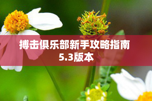 搏击俱乐部新手攻略指南 5.3版本 搏击俱乐部新手攻略指南 5.3版本